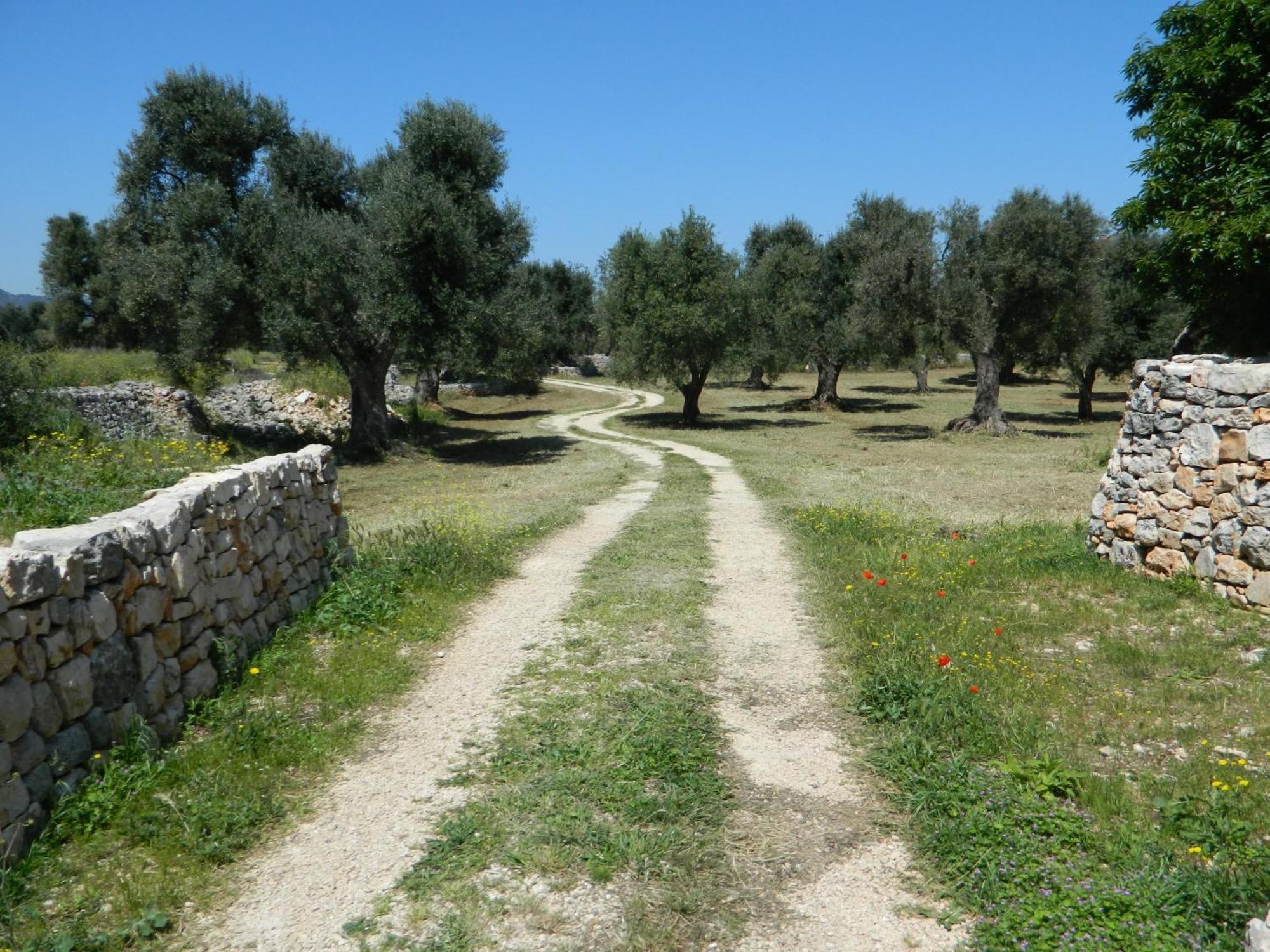 Masseria Purgatorio Fasano Zewnętrze zdjęcie