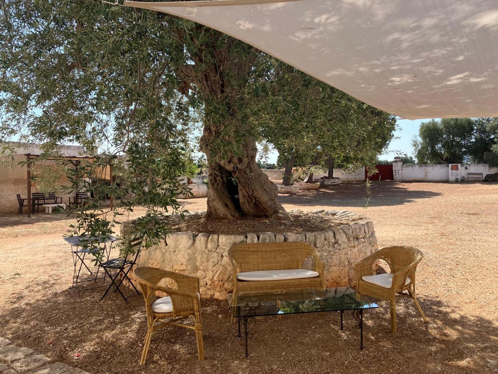 Masseria Purgatorio Fasano Zewnętrze zdjęcie